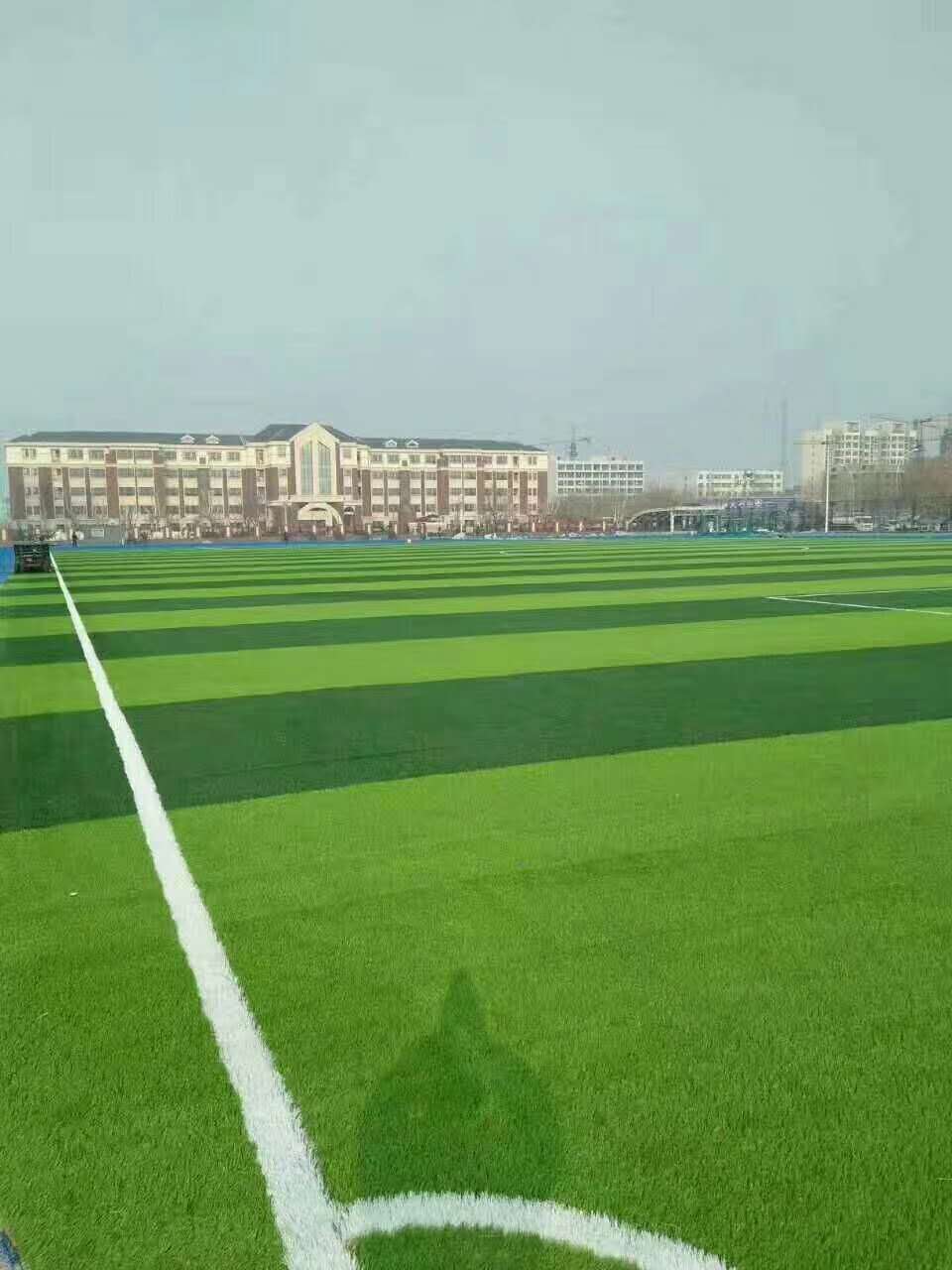益阳市彩色epdm颗粒仿真草坪 - 排名